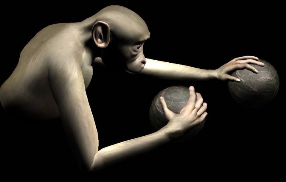 Avatar do macaco rhesus usado em experiência | Reprodução Facebook de Miguel Nicolelis