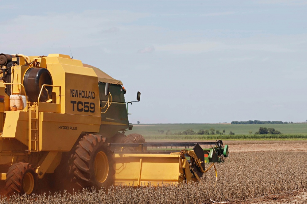 Cultivares plantadas precocemente já estão sendo colhidas em algumas regiões de Mato Grosso. | Christian Rizzi / Gazeta Do Povo