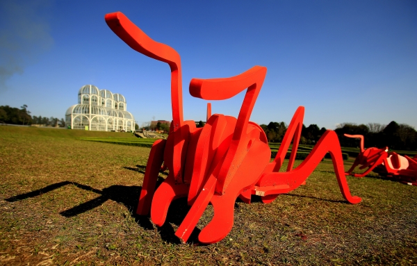 | Marcelo Andrade/ Gazeta do Povo