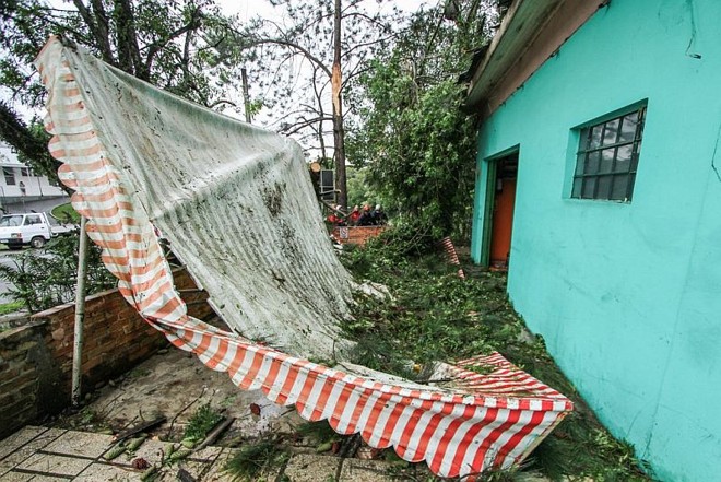 Uma árvore caiu sobre uma lanchonete no Campo Comprido | 