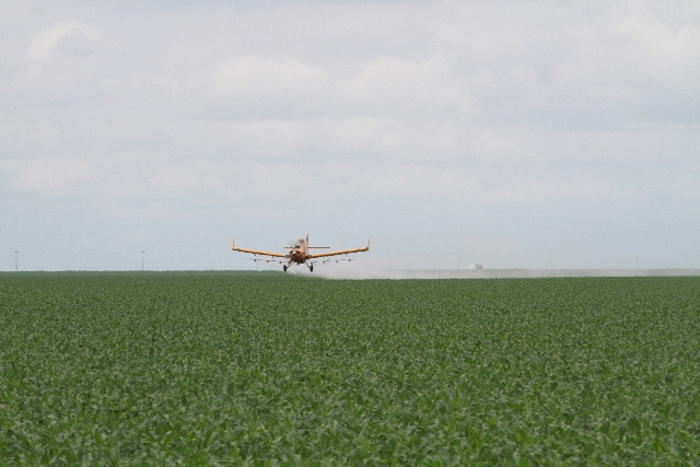 Pulverização em larga escala usa mais avião do que trator no Piauí | Christian Rizzi/gazeta Do Povo