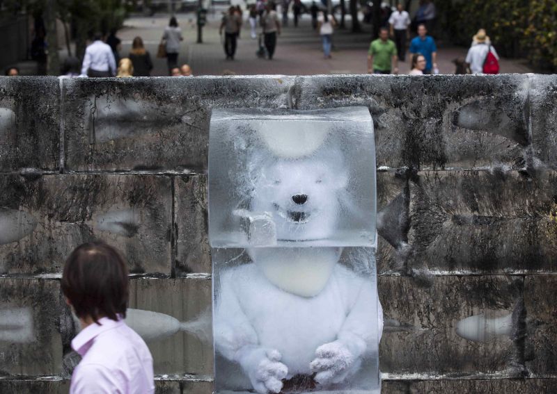 Em nota, o Greenpeace afirma que é contra a exploração de petróleo no Ártico | REUTERS/Rodrigo Paiva