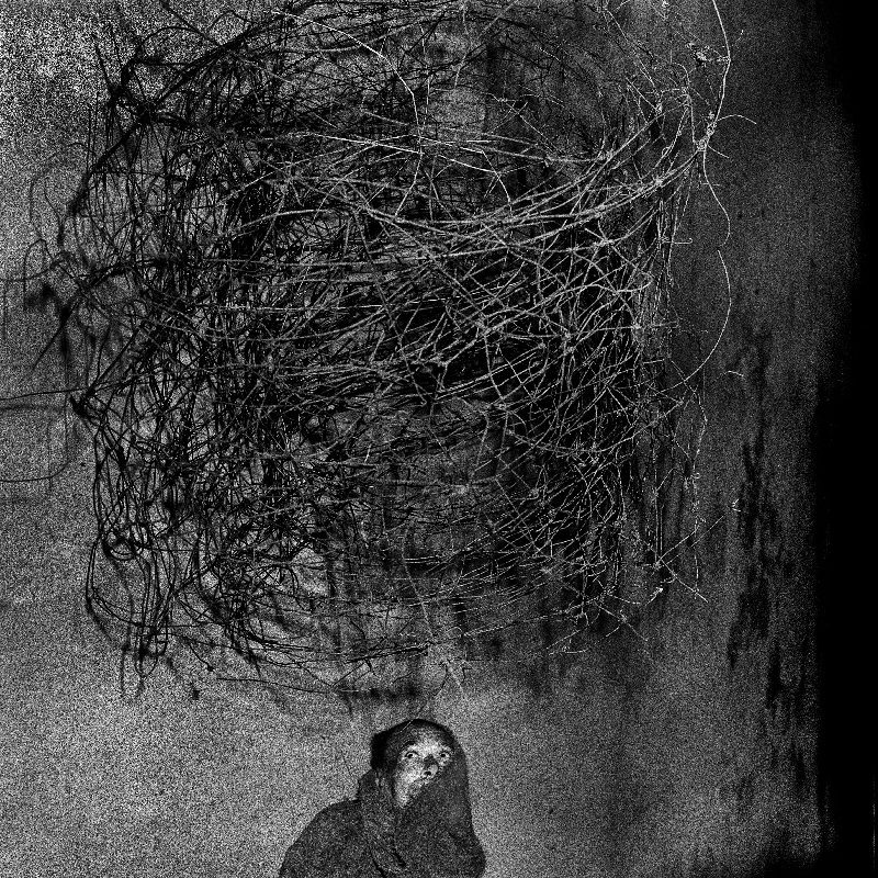 Roger Ballen: mistura de realidade e ficção em situações grotescas se tornou a sua marca | Roger Ballen/Reprodução