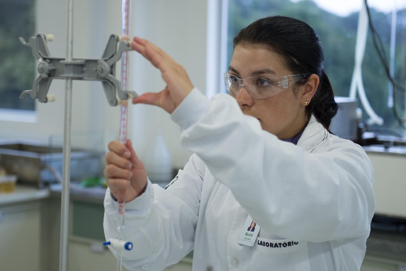 Meio acadêmico ou profissional, qual a sua praia? | Henry Milleo/ Gazeta do Povo