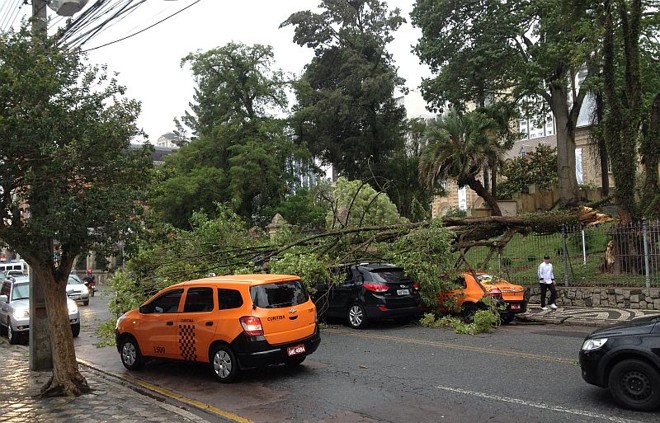 Uma árvore caiu e bloqueou a Avenida do Batel, em frente ao Castelo do Batel | 