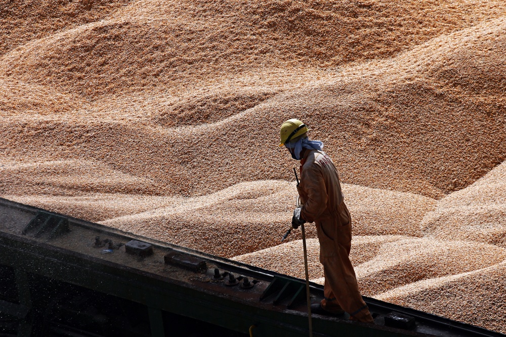 Volume de milho embarcado pelo Brasil está inferior ao do ano passado por causa do retorno dos Estados Unidos ao mercado internacional do grão. | Felipe Rosa / Gazeta Do Povo