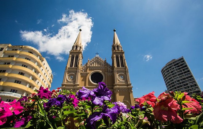 Dia de sol forte e céu azul em Curitiba: na foto, as flores da Praça Tiradentes |