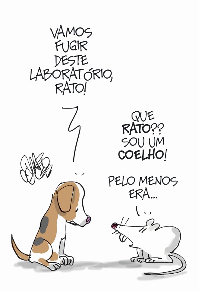 Ativistas invadem laboratório e libertam animais. |