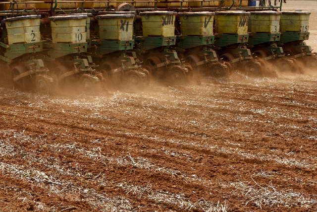 Plantio está sendo encerrado com área ampliada. Mato Grosso (foto) dedica 550 mil hectares extras à soja e deve manter participação de 29% na colheita | Hugo Harada/gazeta Do Povo