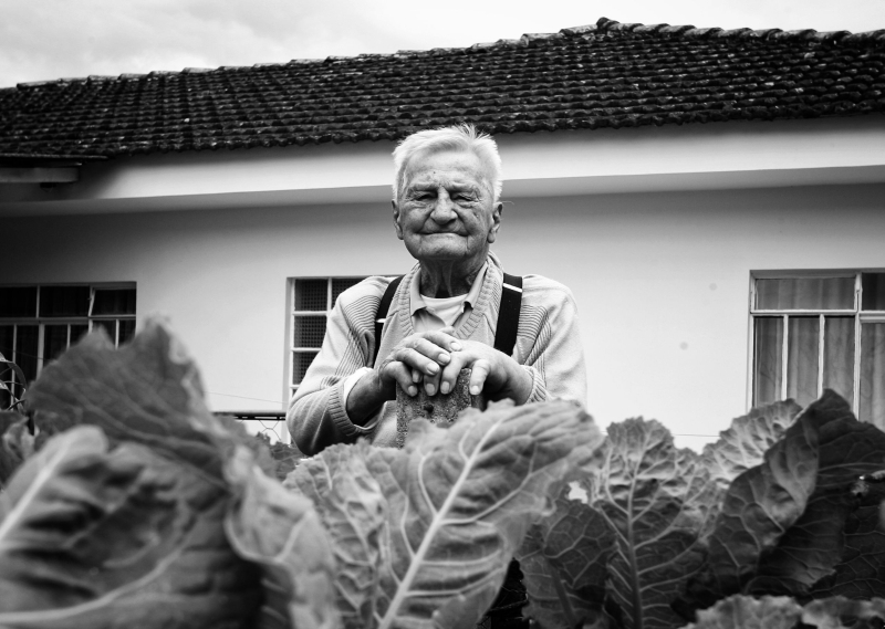 O domínio do idioma alemão foi muito útil a Walter Weiss na guerra | Josué Teixeira/ Gazeta do Povo