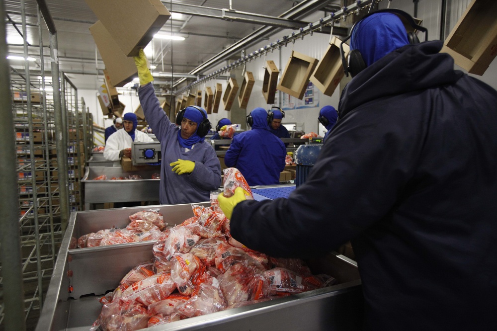 Setor articula estratégias para retomar participação no mercado internacional. | Jonathan Campos / Gazeta Do Povo