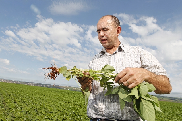 Silomar Faria, de Jataí (GO): terras mais caras elevam também preço do arrendamento | Hugo Harada/gazeta Do Povo