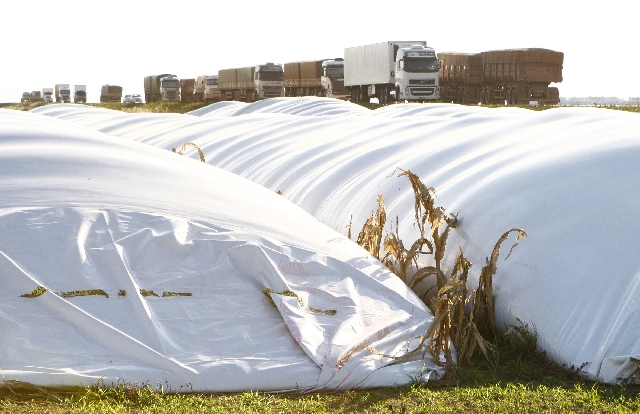 Grãos ficam em silos descartáveis e em caminhões | Hugo Harada/gazeta Do Povo