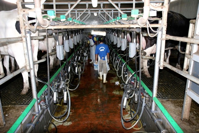 Por atraso no pagamento, famílias produtoras de leite desistem de fornecer o produto para o governo |