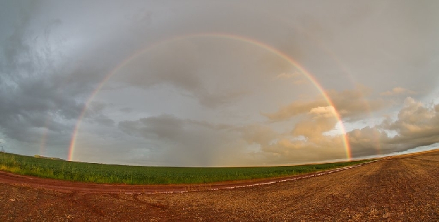 | Daniel Castellano/gazeta Do Povo