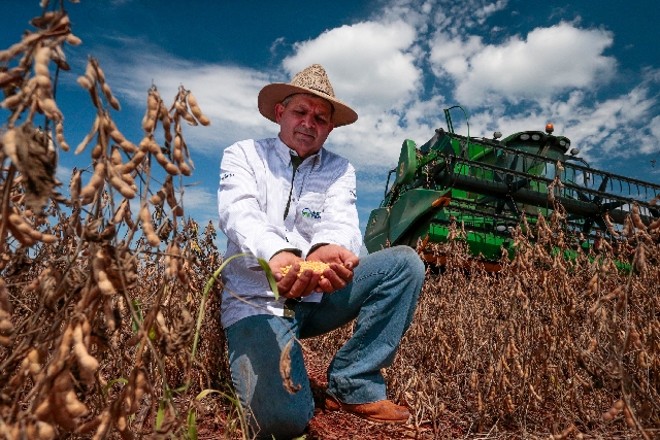 O produtor Ademir Paludo registra variação de 10 a 60 sacas por hectare no Oeste do Paraná. Região teve seca em dezembro. Foto: Cesar Machado/Gazeta do Povo | 