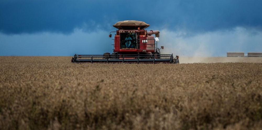 Colheita avança sob pressão das chuvas | Daniel Castellano / Gazeta Do Povo