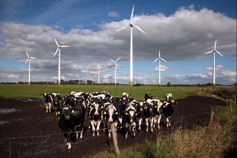 Parque eólico alemão: ausência de metas compulsórias para a energia renovável na União Europeia decepciona ambientalistas | Gordon Welters/The New York Times