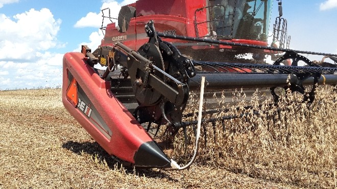 Colheitadeira abre campos no Paraguai. Expectativa é que índices de produtividade melhorem nas próximas semanas. Foto: Márcio Giordani Mattei/Divulgação | 