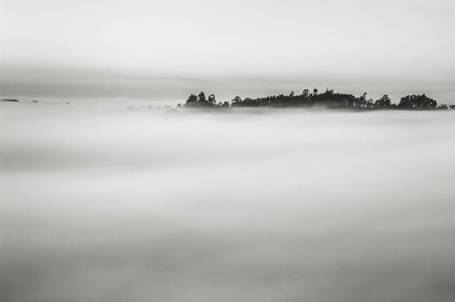 Árvores, cachoeiras e matas presentes nos 70 quilômetros de extensão do parque nacional Serra da Canastra, em Minas Gerais, figuram nas imagens em preto e branco de Marco Alves |