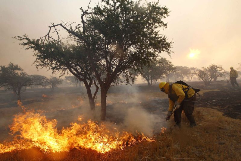 Fogo já destruiu cerca de 15 mil hectares de mata nativa, pastagens e eucaliptos, segundo a Corporação Nacional Florestal | REUTERS/Ivan Alvarado