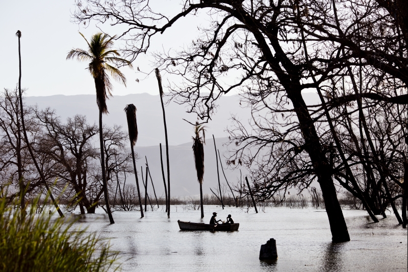 Lago Enriquillo se elevou, inexplicavelmente, engolindo árvores e antigas terras agrícolas produtivas na República Dominicana | Jason Henry/The New York Times