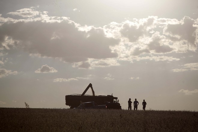 Carga atrás de carga. | 