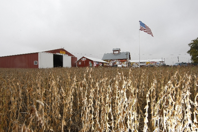 Considerando produtividade de 3 mil quilos por hectare, colheita da soja norte-americana tende a superar 92 milhões de toneladas | Jonathan Campos/gazeta Do Povo