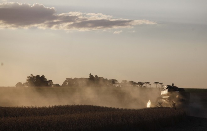 Final de tarde em lavoura de Cascavel. | 