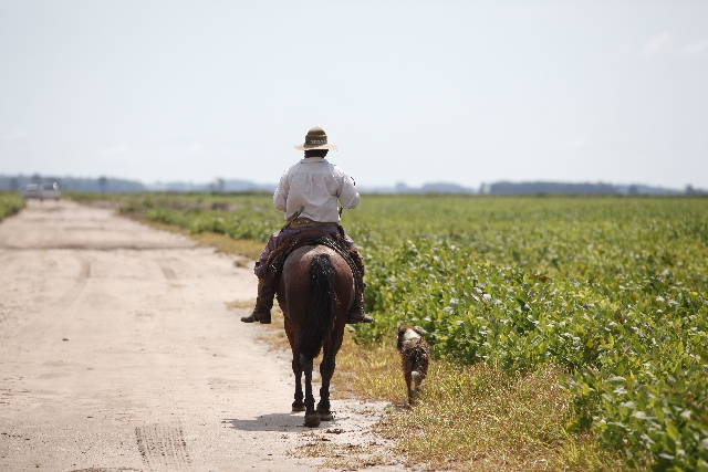 | Jonathan Campos/gazeta Do Povo