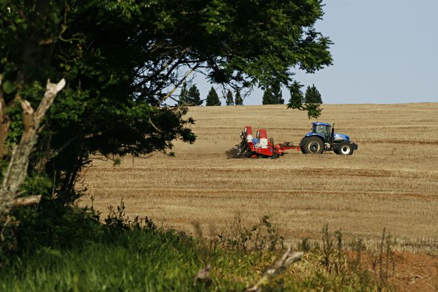 Meta do setor é se aproximar dos índices de vendas verificados no plantio da safra 2013/14 | Antonio More /gazeta Do Povo