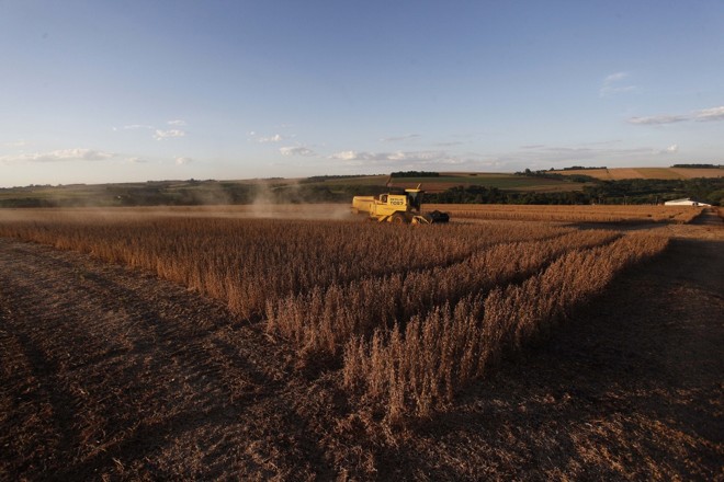 Tarefa na reta final. | 