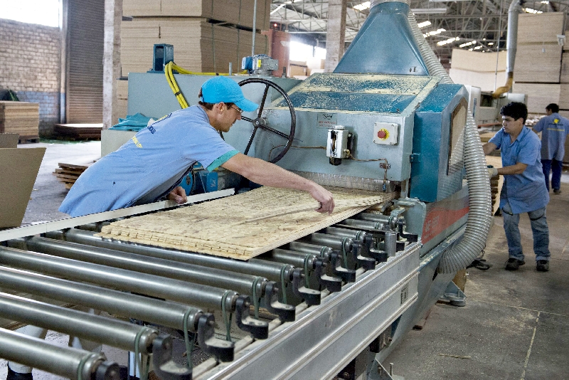 O número de postos de trabalho na indústria da madeira recuou quase 5% no país | Henry Milleo/ Gazeta do Povo