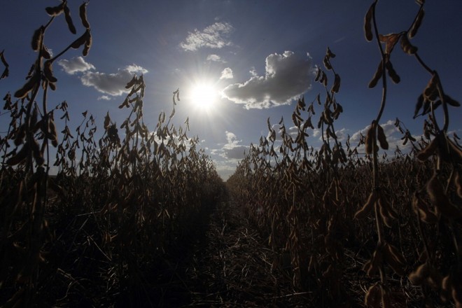 Final de expediente. | 