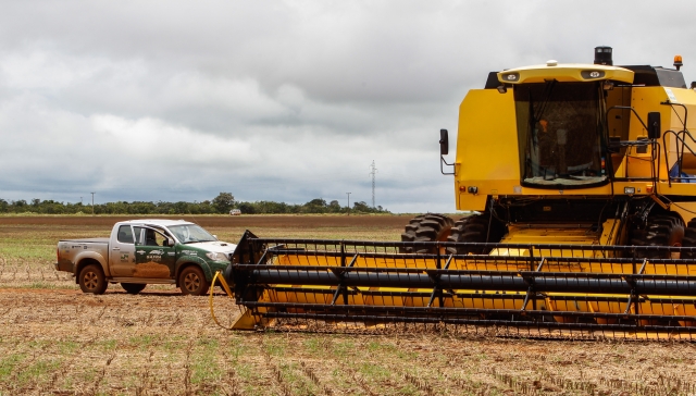 Equipe percorre lavoura de Mato Grosso, que confirma safra cheia e aguarda resultados de áreas mais tardias para determinar médias | Hugo Harada/gazeta Do Povo