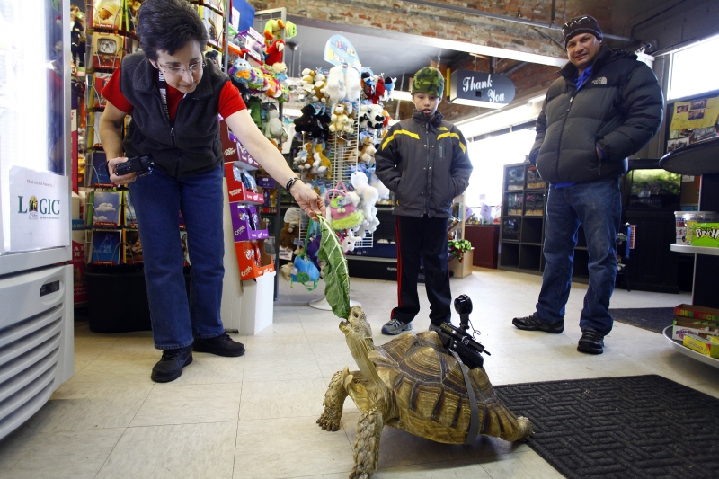 | Joshua Lott /The New York Times