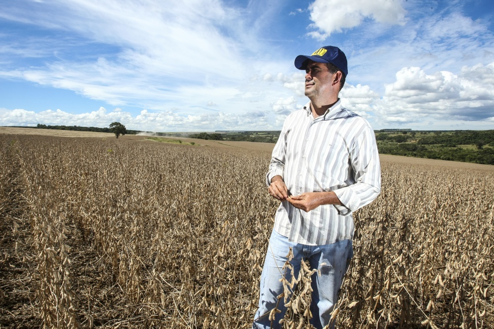 Claudionor Nunes, de Uberlândia, tenta repetir neste ano a produtividade de mais de 57 sacas de soja por hectare do ano passado. | Andra© Rodrigues / Gazeta Do Povo