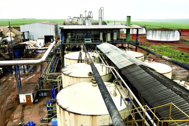 Experiência da Usimat, em Mato Grosso, indica que uso de milho para etanol é viável no Brasil |