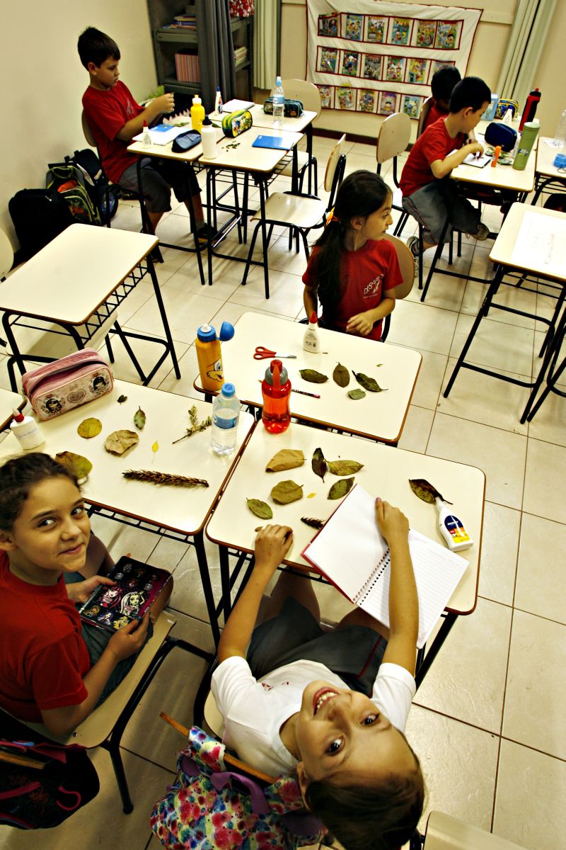 Alunos da Desafio coletaram folhas no quintal da escola: aprendizado na prática | Josué Teixeira/ Gazeta do Povo