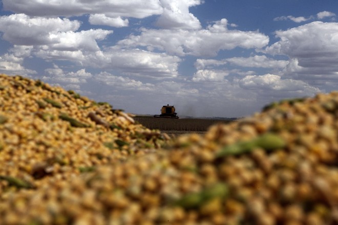 Montanha saída da terra. | 