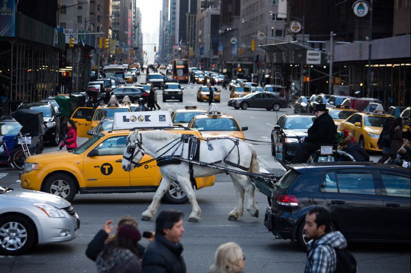 Opositores das carruagens puxadas a cavalo querem a proibição da atividade e sua substituição por automóveis elétricos vintage | Damon Winter para The New York Times