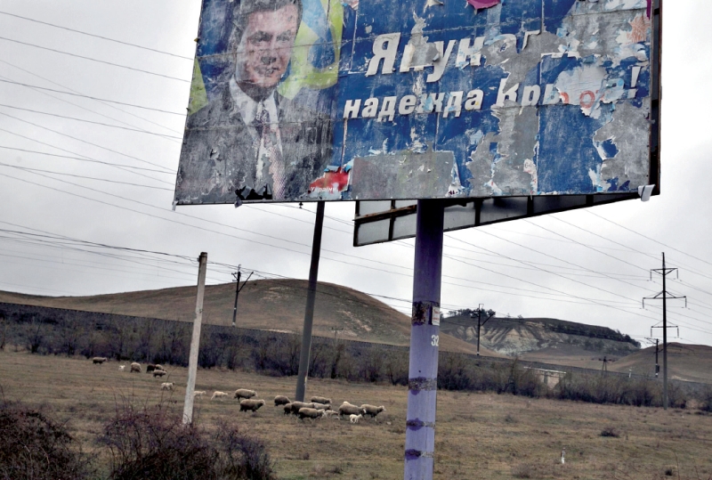 Ovelhas pastam perto de um outdoor eleitoral do presidente Yanukovich, a esperança da Crimeia, na estrada para Sevastopol | Baz Ratner/Reuters