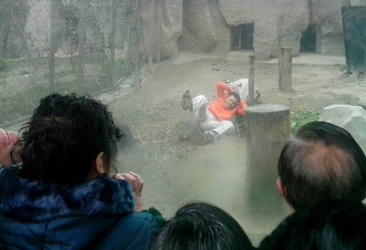 Foto do jornal "China Daily" mostra o momento em que o homem é arrastado pelo felino | Reuters/China Daily
