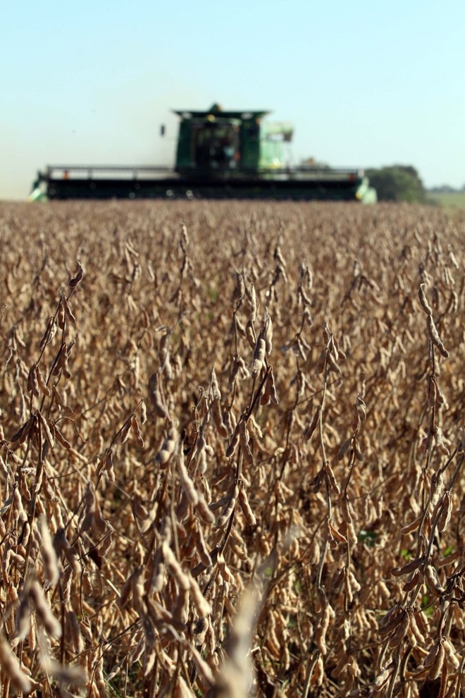 Colheita da soja já começou em estados periféricos do Corn Belt, como Alabama e Tennessee. |
