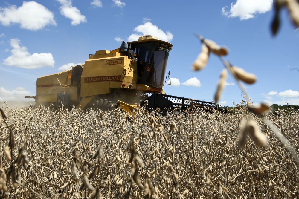 Colheita de soja em Rio Verde (GO), uma das regiões onde as lavouras foram mais afetadas pela falta de chuvas e o excesso de calor. | Andra© Rodrigues / Gazeta Do Povo