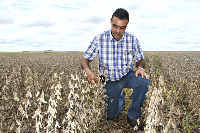 Com fórmula caseira, Adelson Desiderio reduziu para R$ 1/ha o gasto com aplicações | Andra© Rodrigues/gazeta Do Povo