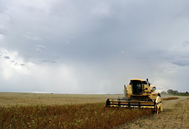 Trabalho segue pela manhã e chuvas chegam à tarde | Josua© Teixeira/gazeta Do Povo