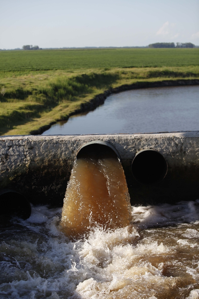 | Jonathan Campos/ Gazeta Do Povo