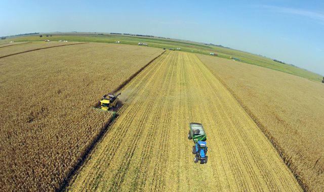 Colheitadeiras chegam ao campo na província de Buenos Aires, em Venado Tuerto. Seca trouxe teve menos impacto que alagamentos, relatam produtores e técnicos | Christian Rizzi/gazeta Do Povo