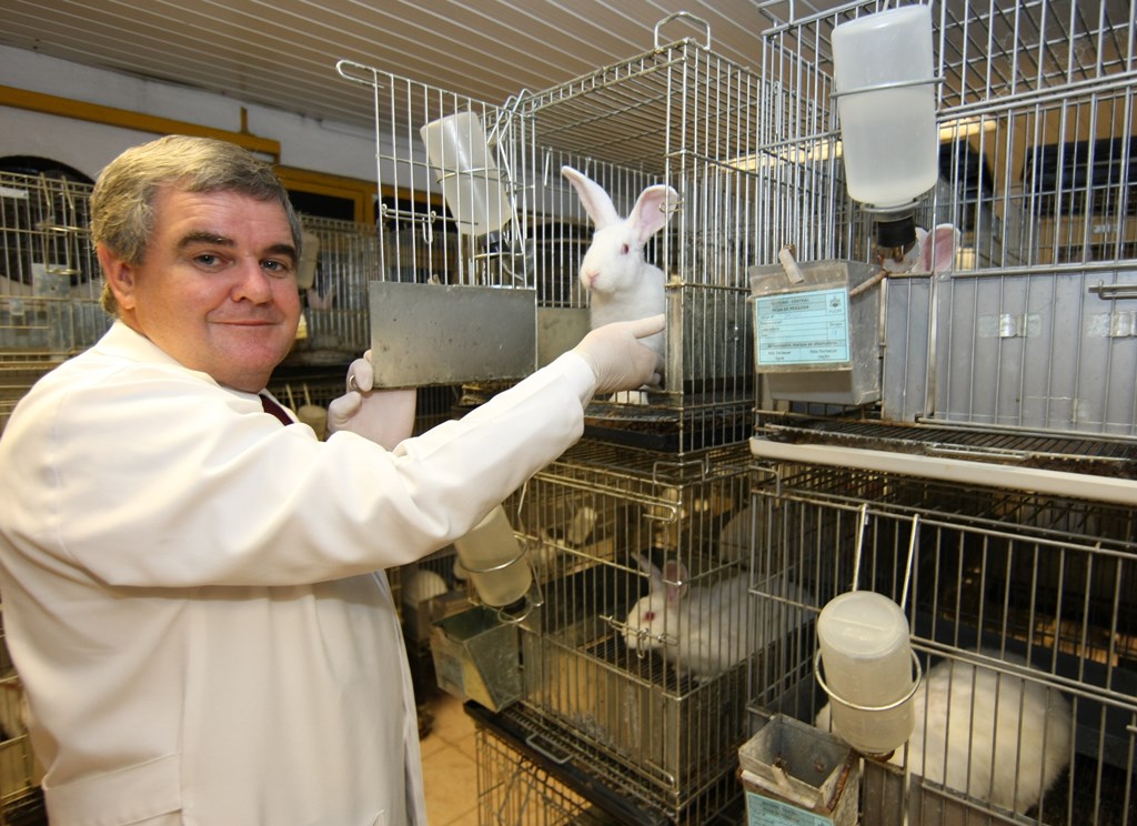 Dalton Precoma analisa o controle de colesterol e teve de alterar sua pesquisa para fugir da burocracia de importação. | Aniele Nascimento / Gazeta do Povo